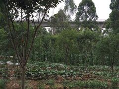 -白鹭湾湿地公园