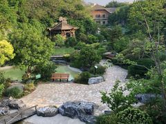 -吴淞炮台湾湿地森林公园烧烤区