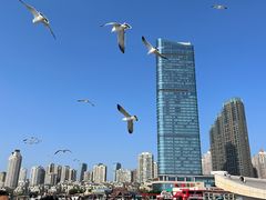 -星海广场