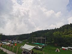 -武陵山森林公园