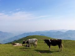 -灵山