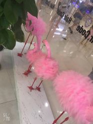 -形象公社