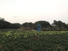-广州市流溪河国家森林公园