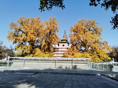 -北京石刻艺术博物馆(五塔寺)