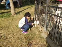 -上海滴水湖皇冠假日酒店