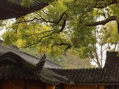 -西园寺