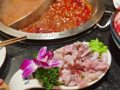 -大龙燚火锅(南山大道店)