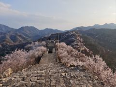 -龙泉峪长城