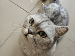 -平行世界·猫咖(首经贸店)