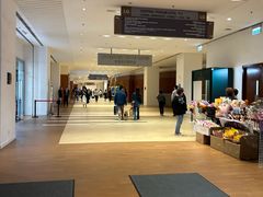-香港大学
