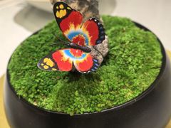 -江仙雅居(苏州桥店)