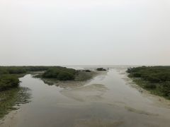 -北海金海湾红树林生态旅游区