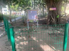 -三亚海棠湾万丽度假酒店