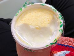 -德禄酸奶(莫家街店)