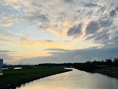 -春花秋色城市公园