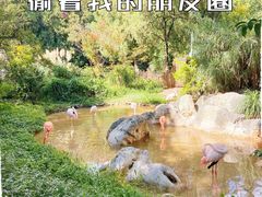 -昆明动物园