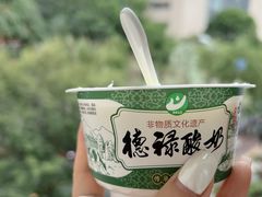 -德禄酸奶(莫家街店)