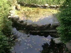 -苏州河梦清园环保主题公园