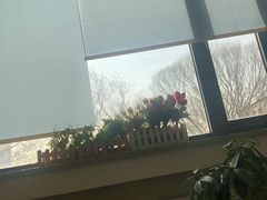 -天津图书馆(复康路馆)
