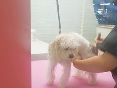 -FAELING PETS美天灵宠物(合生汇店)