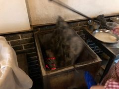 -高伟炒鸡总店(金源路店)