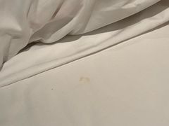 -上海静安香格里拉大酒店