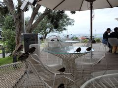 -Takapuna Beach Cafe