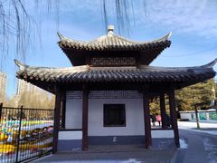 -团结湖公园