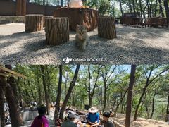 -沂蒙山旅游区云蒙景区(蒙山国家森林公园)