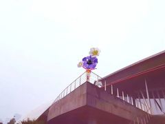 -合肥大剧院