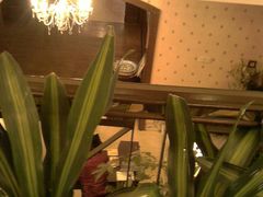 -老洋房花园饭店(绍兴路店)