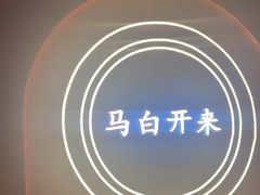 -马白开来特色羊排揪片子  (总店)