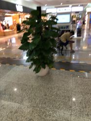 -欧扬医疗美容