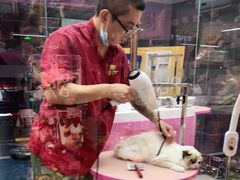 -FAELING PETS美天灵宠物(富力广场店)