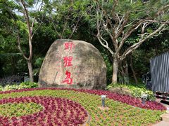 -野狸岛