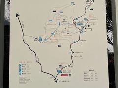 -九龙江国家森林公园