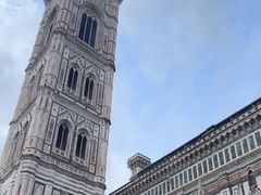 -圣母百花大教堂穹顶