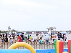 -碧海金沙