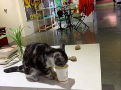 -一品格美术·中考高中成人美术培训