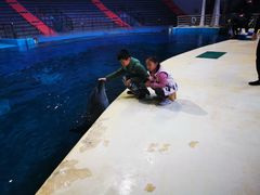 -福州罗源湾海洋世界旅游区