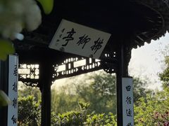 -扬州大运河文化旅游度假区·盆景园