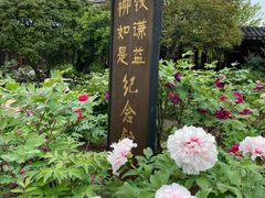 -尚湖风景区
