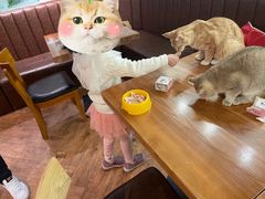-猫小院猫主题餐厅(三里屯店)