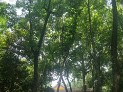 -首义公园-武昌蛇山烈士祠