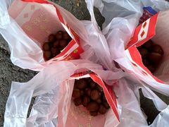 -阿男野栗王(金门路店)