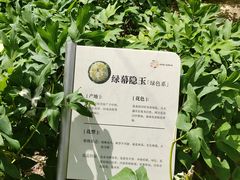 -太阳宫公园