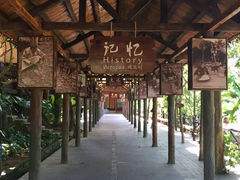 -海南槟榔谷黎苗文化旅游区
