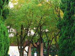 -上海市龙华烈士陵园