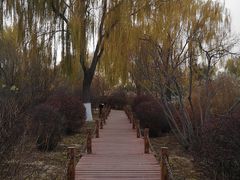 -燕郊植物园