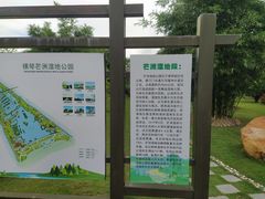 -芒洲湿地公园